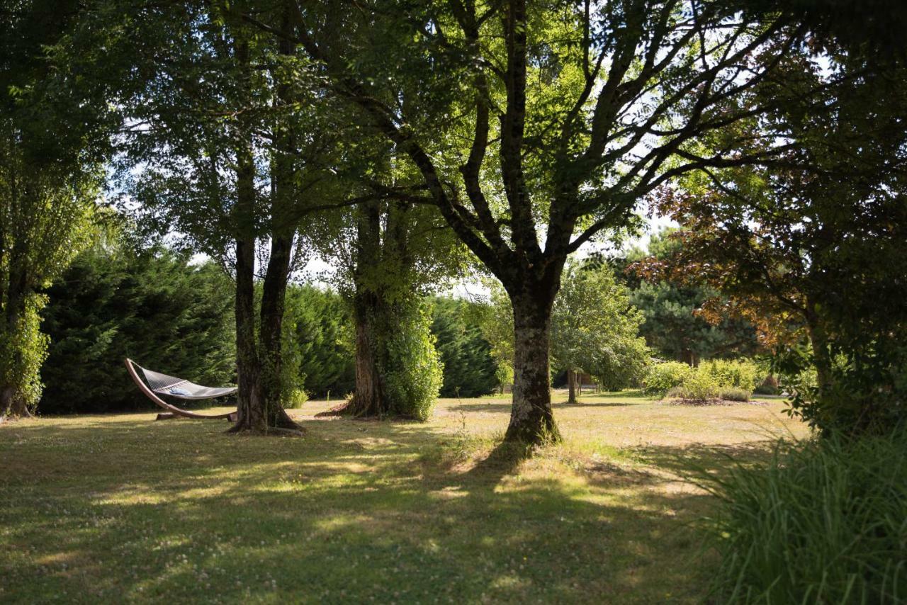 Bed and Breakfast La Demalerie Cheverny Zewnętrze zdjęcie